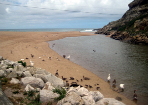 Praia Porto Novo em Caraguatatuba